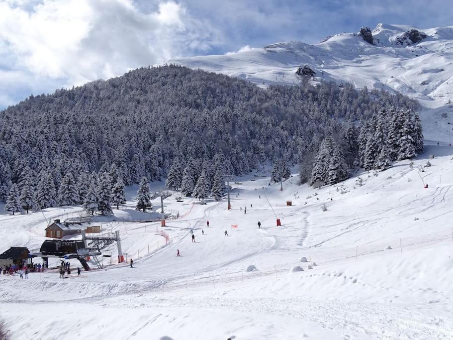 Appartement T4 8 Couchages Spacieux Et Cosy Au Pied Des Pistes Génos Eksteriør bilde